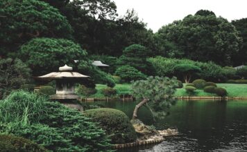 Sightseeing & Attractions